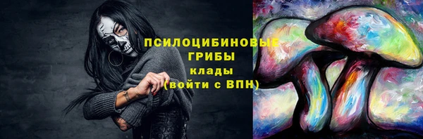 стаф Алексин