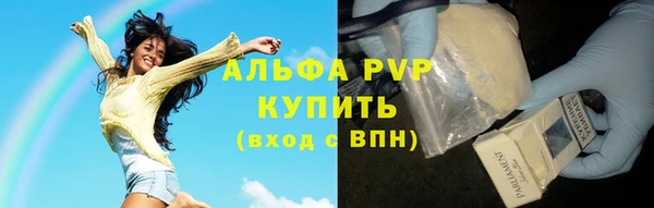 стаф Алексин