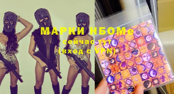 стаф Алексин