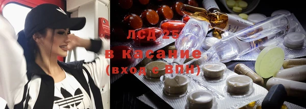 стаф Алексин